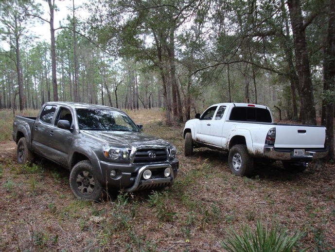 in da woodz 009.jpg