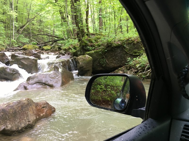 in river.jpg