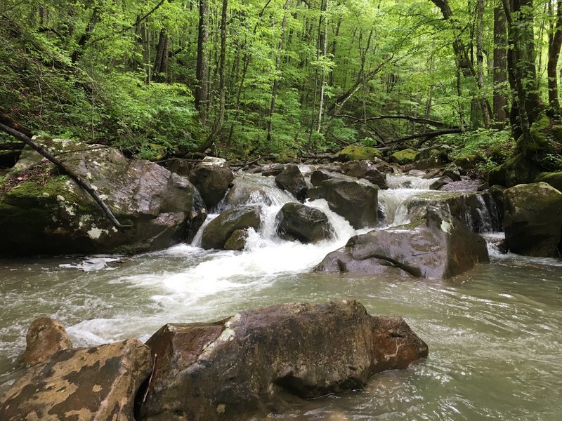 in river2.jpg