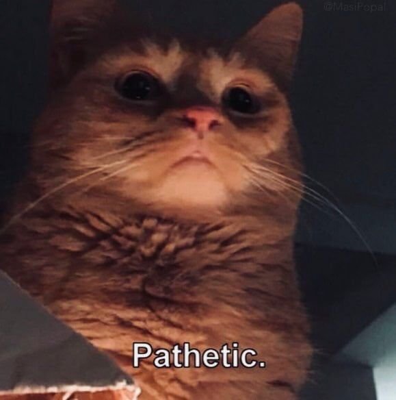 in5fr4a9z2g81.jpg