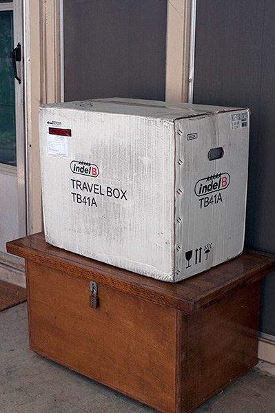 indel_TF41A.jpg