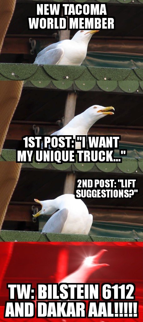 Inhaling Seagull 27072019224041.jpg