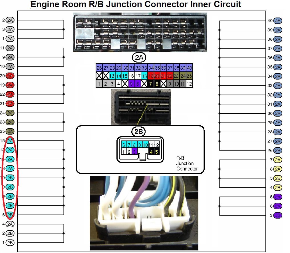 INNER CIRCUIT.jpg