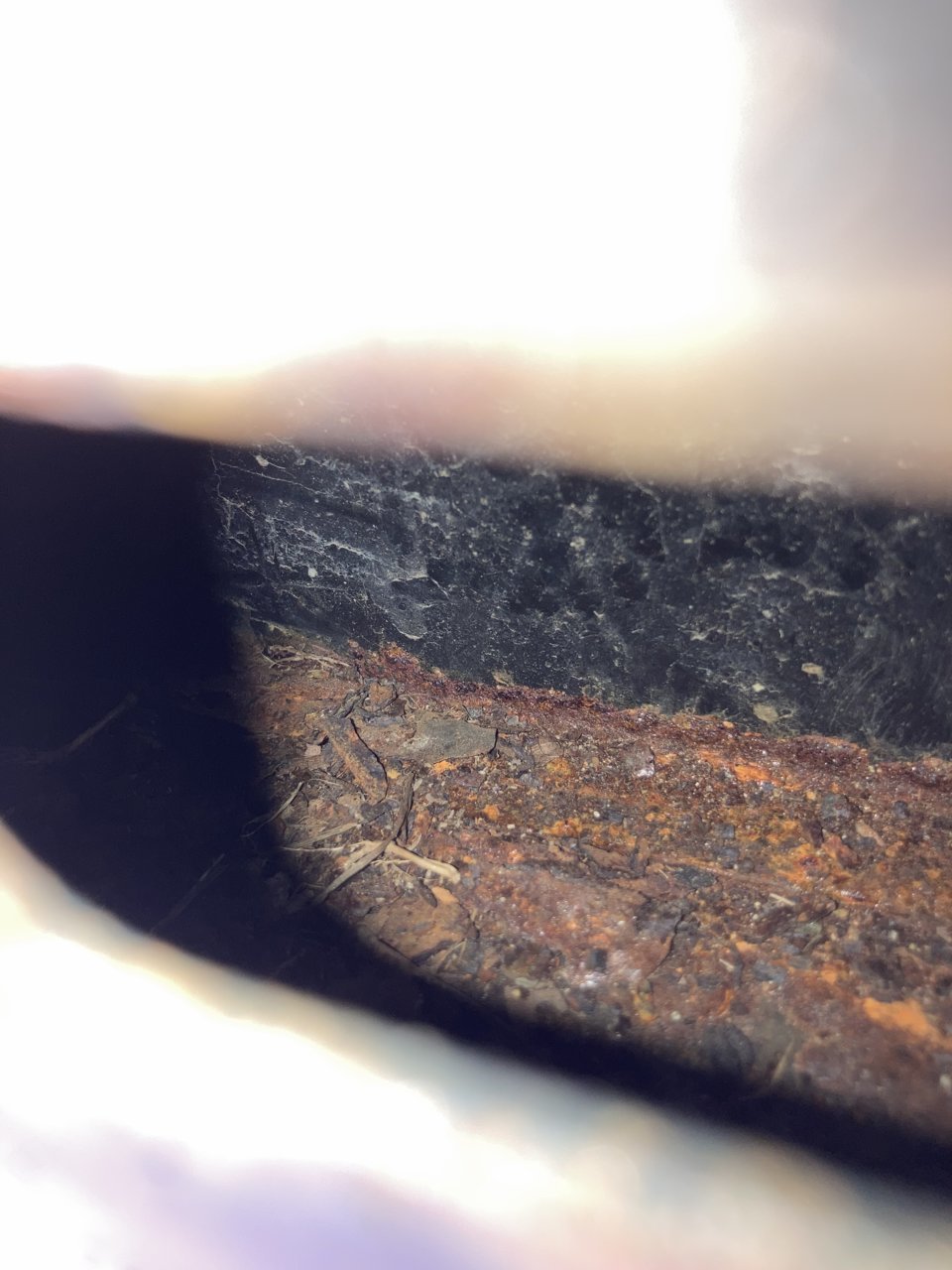 inside frame 2.jpg