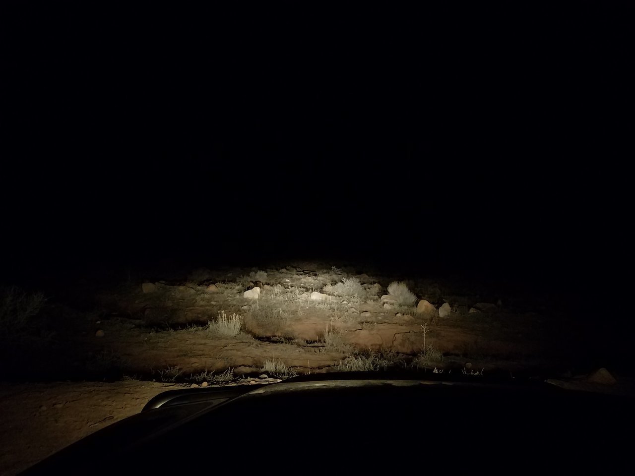 Inside_Low_1.jpg