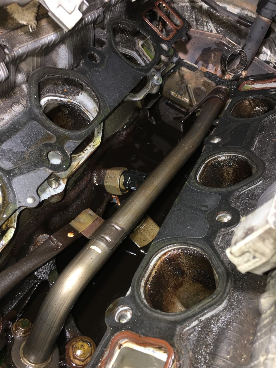 Intake 1.jpg