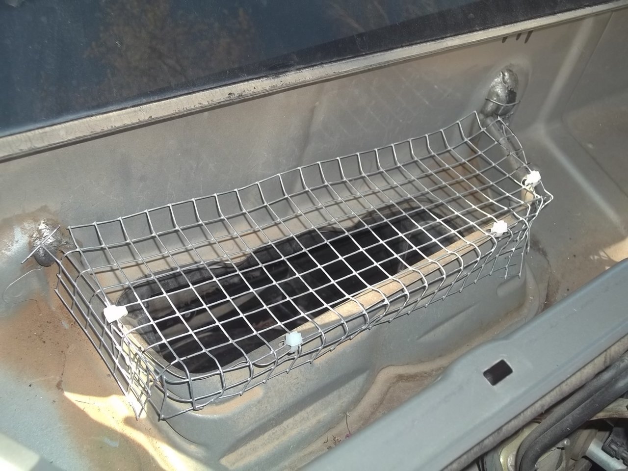 Intake screen.jpg