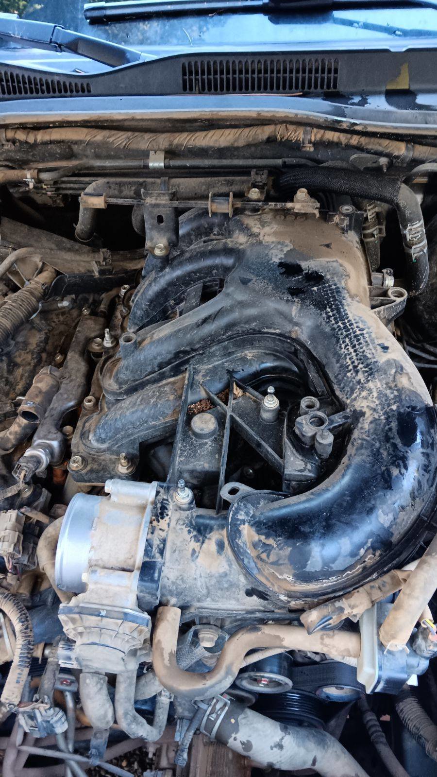 intakemanifold.jpg