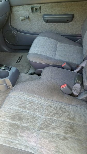 Interior.jpg