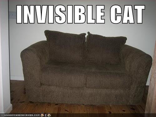 inviscat_a1e1ccaf23133c5b017d8af6d4fe26ec060b1768.jpg