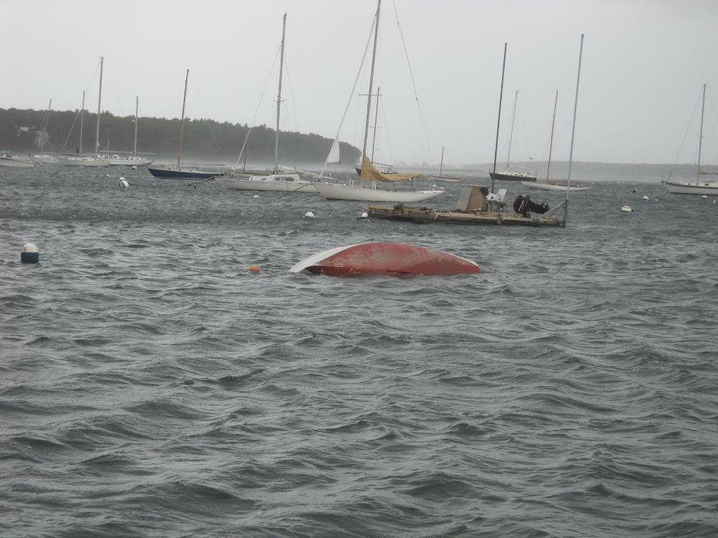 irene011_72071f8269813e11ae072f31eacb60803dba024e.jpg