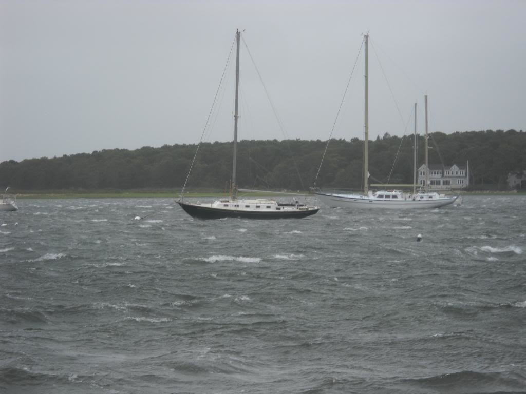 irene019_3108ac493906fdd702d732514c2248fc30134951.jpg