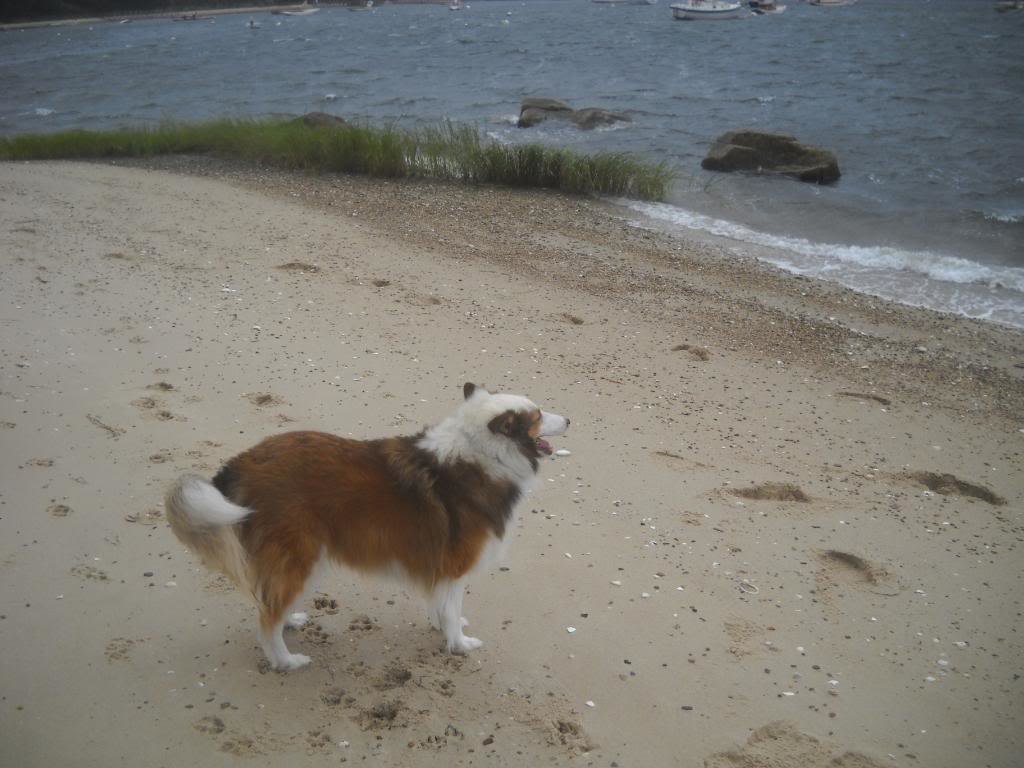 irene028_f4434cc70ca6e4942456fea4bf083b76efa8e832.jpg