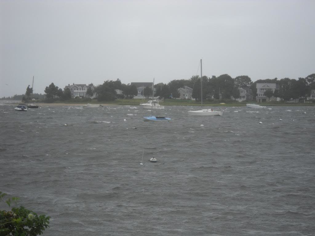 irene031_c91e0e3854c43620d9df3ffff488a3257abf2b22.jpg