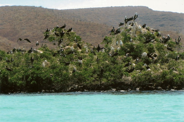 islands005_819729fa8351eca85f2f8b3f2c3c80dae79887a2.jpg