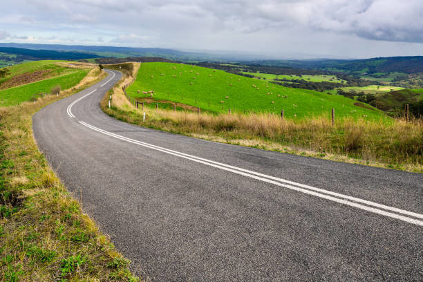 istockphoto-1432752416-612x612.jpg