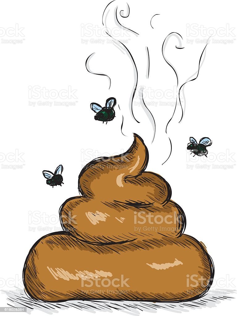 istockphoto-618028384-1024x1024.jpg