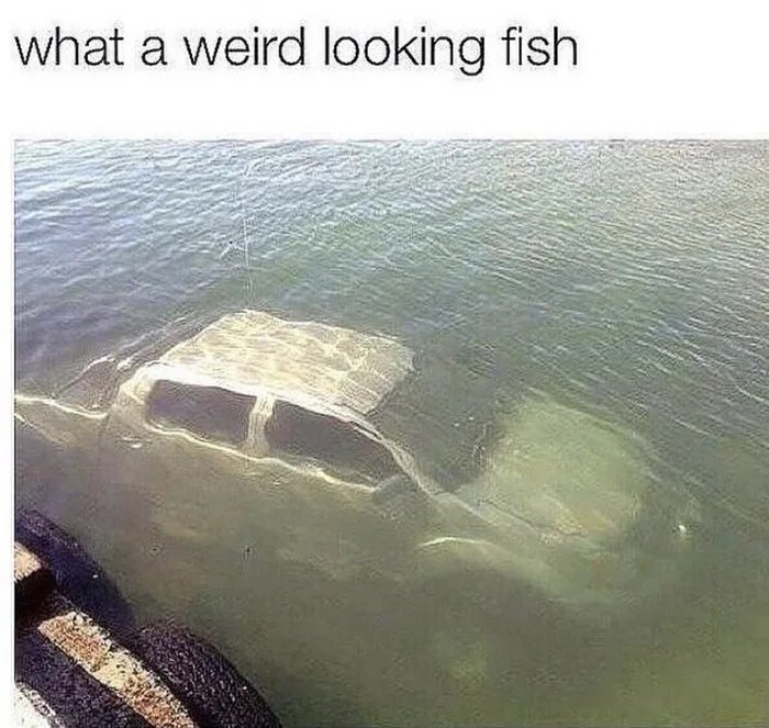 Its-evolving-just-backwards.jpg