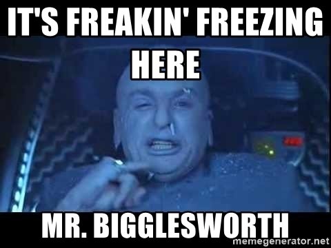 its-freakin-freezing-here-mr-bigglesworth.jpg