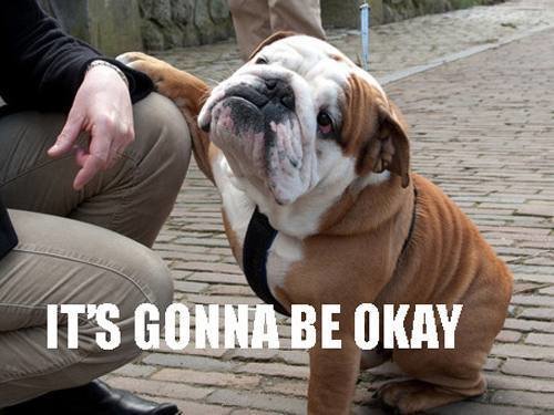 its-gonna-be-ok.jpg