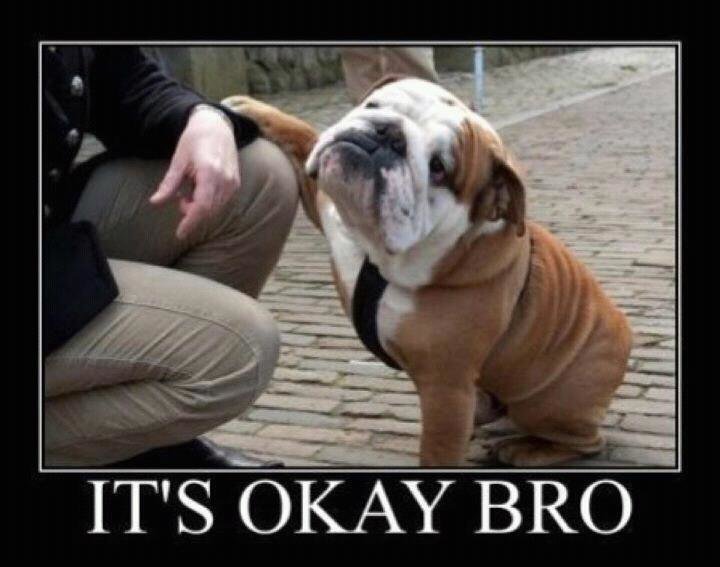 it's ok bro.jpg