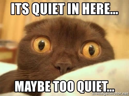 its-quiet-in-here-maybe-too-quiet.jpg