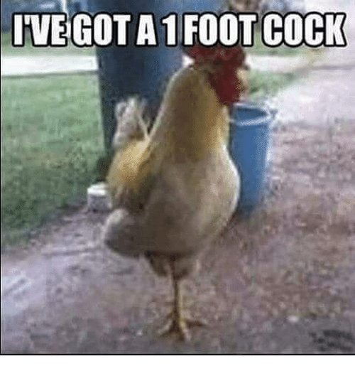 ivegot-a-1-foot-cock-24784017.jpg