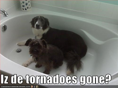iz-de-tornadoes-gone.jpeg.jpg