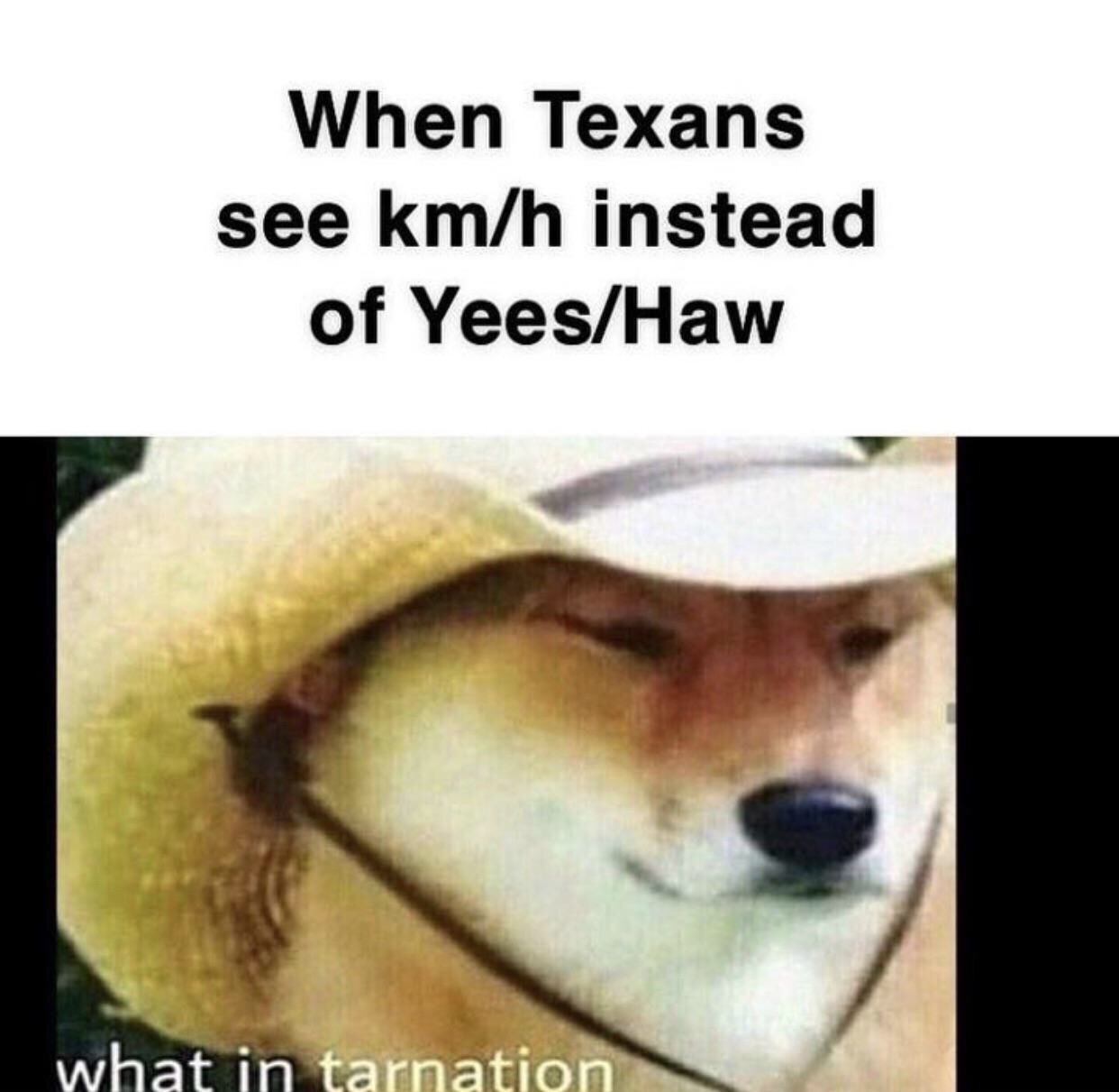 IZ0DTe4.jpg