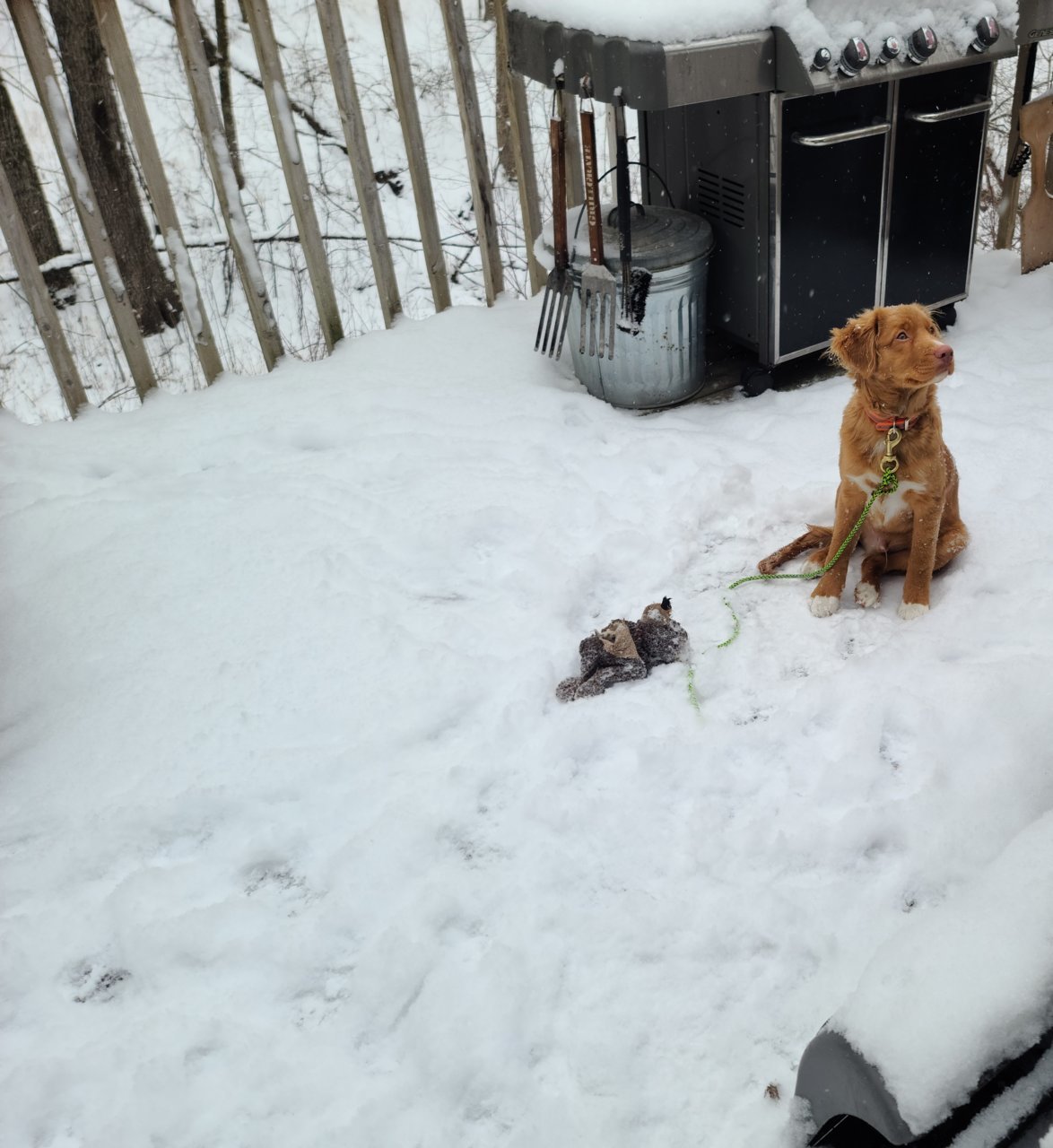 jack deck snow.jpg