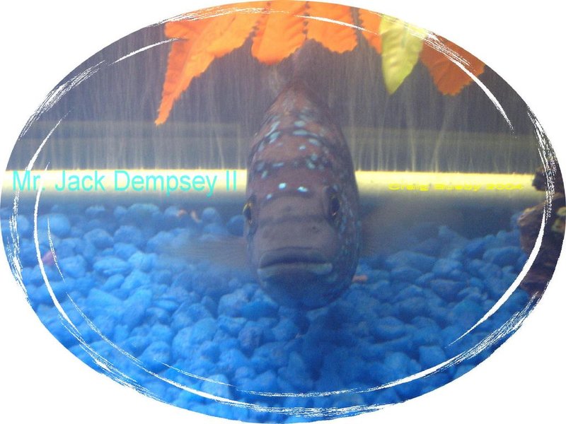 jack dempsey.jpg