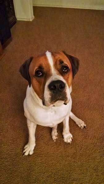 Jack (Medium).jpg