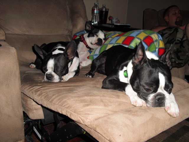 Jack004_b3b465a2f3c2bb8825fc8ee520cb1bd6f28eb938.jpg