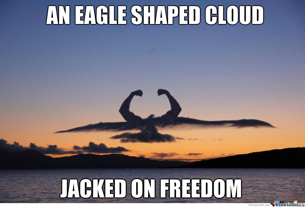 jacked-on-freedom_o_2226887.jpg