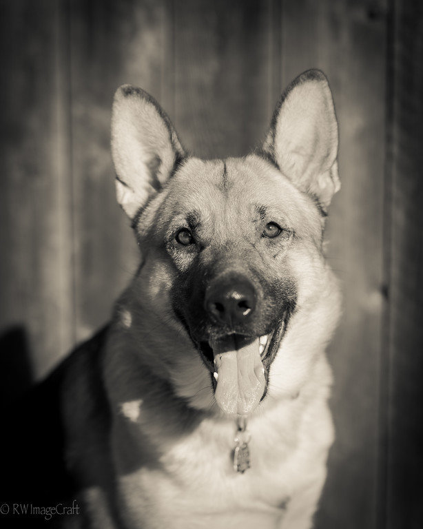 Jackson1YR8MO-2446-XL.jpg
