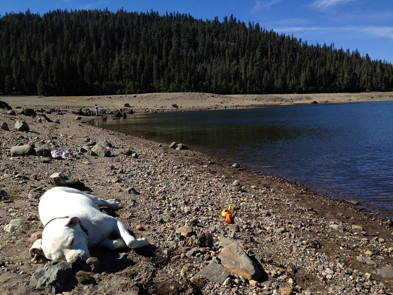 jake-resting-after-a-hike.jpg