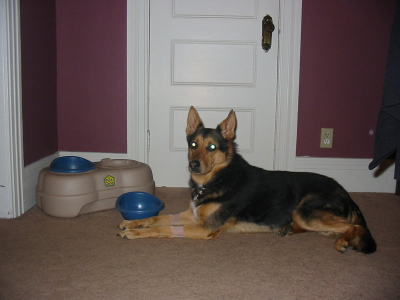 jakester 036.jpg