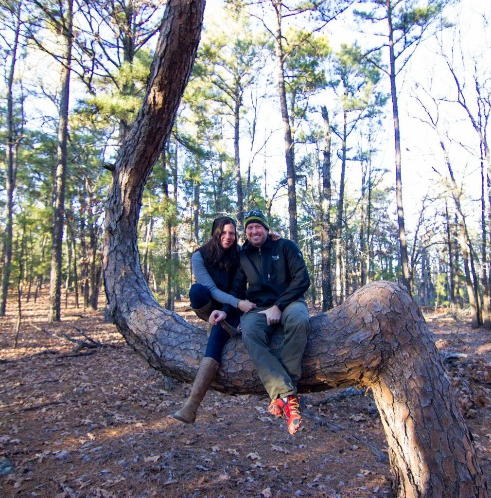 JandCinaTree_zps68a39749_164597299c37d78ede6d80963c016bbafe62aa9f.jpg