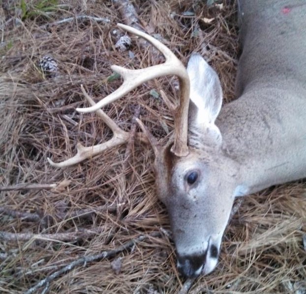 Jason Deer 2014.jpg