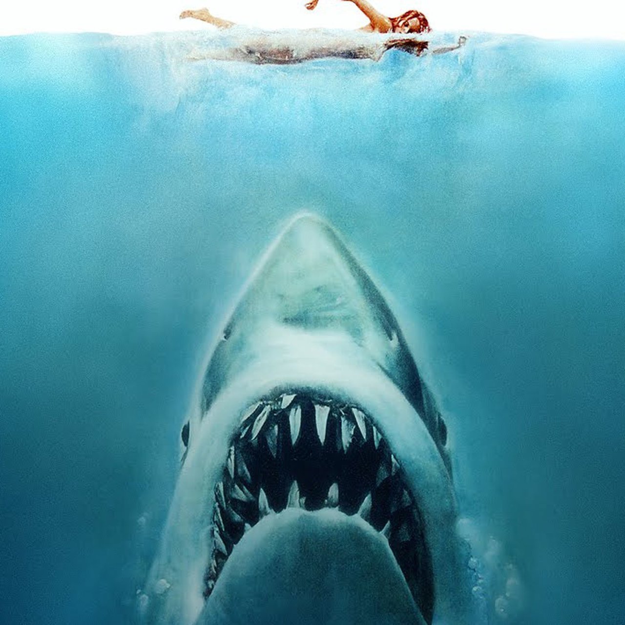 jaws.jpg