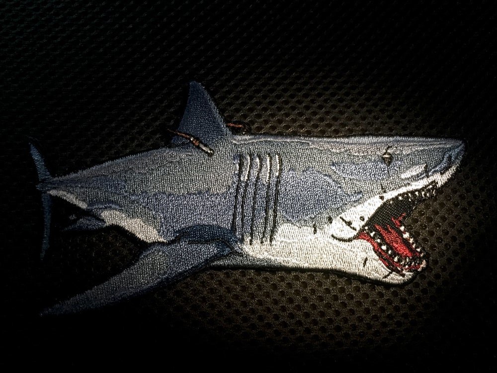 JAWSdrop.jpg