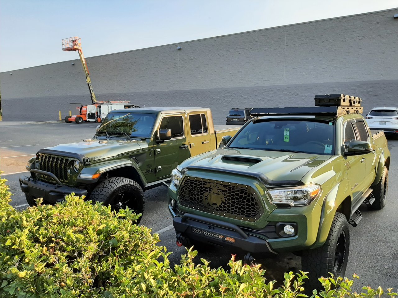 Jeep renegade.jpg