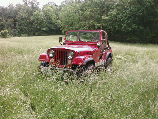 jeep_8282a9106dce13497f03887d75b0df8f877d1891.jpg