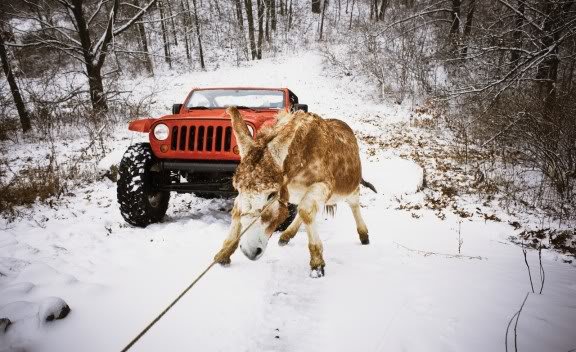 jeep_lower_forty_concept_12_cd_gall_358f7c2965f9a751768979a45d4fd501d65d683a.jpg