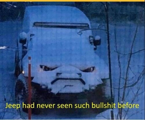 JEEPER.jpg