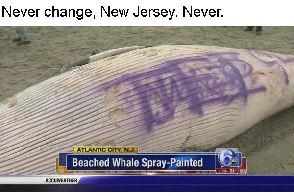 jersey17.jpg