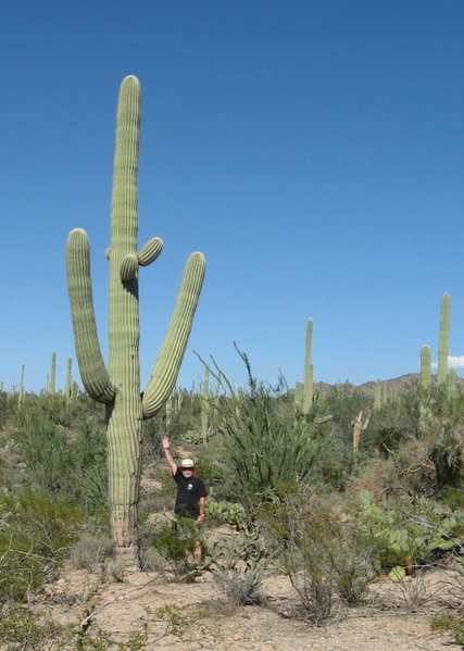 Jim and a Saguaro Cactus.jpg