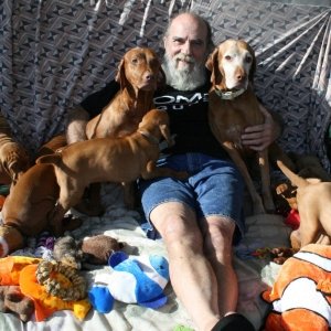 Jim and pups.jpg