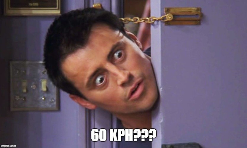 joey.jpg