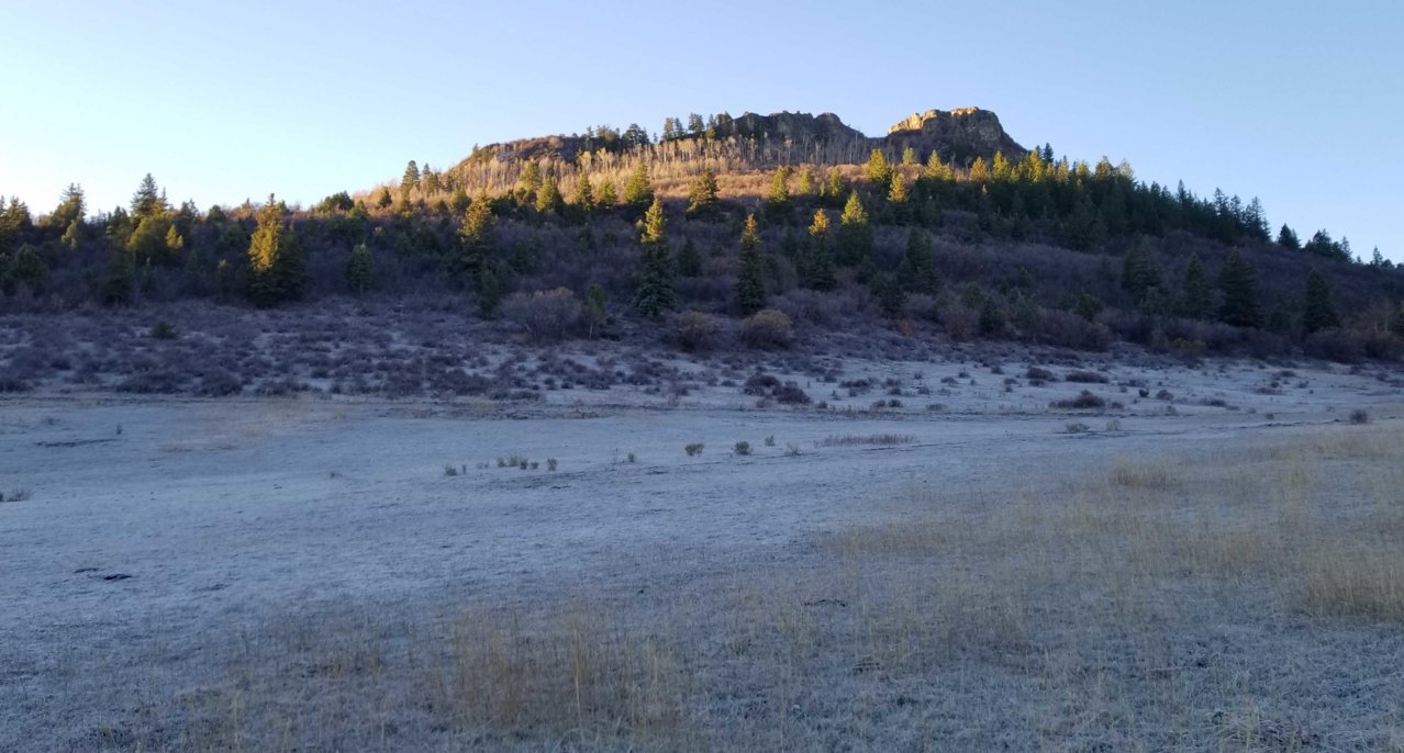 John Elk-Frosty Field.jpg